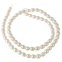 Cultured Rice Freshwater Pearl Beads natural white 4-5mm Approx 0.8mm Sold Per Approx 15.3 Inch Strand