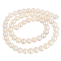 Bulvių išauginti gėlavandenių perlų karoliukai, Gėlo vandens perlų, Bulvė, natūralus, baltas, 7-8mm, Skylė:Apytiksliai 0.8mm, Parduota už Apytiksliai 15.5 Inch Strand