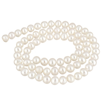 Brambor pěstované sladkovodní perle, Sladkovodní Pearl, přírodní, bílý, 5-6mm, Otvor:Cca 0.8mm, Prodáno za Cca 15.3 inch Strand