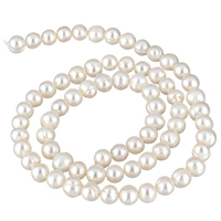 Brambor pěstované sladkovodní perle, Sladkovodní Pearl, přírodní, bílý, 5-6mm, Otvor:Cca 0.8mm, Prodáno za Cca 15 inch Strand