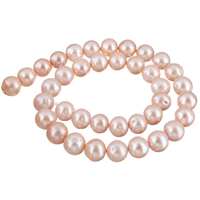 Brambor pěstované sladkovodní perle, Sladkovodní Pearl, přírodní, nachový, 11-12mm, Otvor:Cca 0.8mm, Prodáno za Cca 15.5 inch Strand