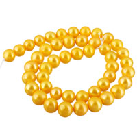 Bulvių išauginti gėlavandenių perlų karoliukai, Gėlo vandens perlų, Bulvė, natūralus, geltonas, 8-9mm, Skylė:Apytiksliai 0.8mm, Parduota už Apytiksliai 15.7 Inch Strand