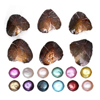 Freshwater Cultured Love Wish Pearl Oyster, more colors for choice, 12-13mm, Sold By PC