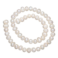 Knapp odlad sötvattenspärla pärlor, Freshwater Pearl, naturlig, vit, 7-8mm, Hål:Ca 0.8mm, Såld Per Ca 14 inch Strand