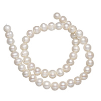 Riso coltivato in perla d'acqua dolce, perla d'acquadolce coltivata naturalmente, naturale, bianco, 7-8mm, Foro:Appross. 0.8mm, Venduto per Appross. 14 pollice filo