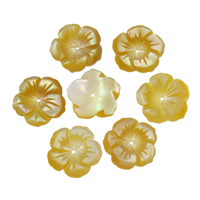 Φυσικό χάντρες κίτρινο Shell, Yellow Shell, Λουλούδι, 13x1.5mm, Τρύπα:Περίπου 1mm, 50PCs/τσάντα, Sold Με τσάντα