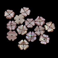 Perles de coquillage rose naturel, coquille rose, fleur, 11x2mm, Trou:Environ 1mm, 50PC/sac, Vendu par sac