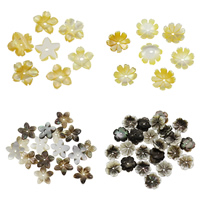 Perles de coquillage noire, coquille noire, avec coquille jaune, fleur, styles différents pour le choix, 10x2mm, Trou:Environ 0.5-1mm, 50PC/sac, Vendu par sac