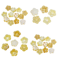 Natuurlijke Geel Shell Kralen, Bloem, verschillende stijlen voor de keuze, 15x2mm, Gat:Ca 1mm, 10pC's/Bag, Verkocht door Bag