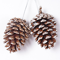Photography Photo Pose Props, Pinecone, Pinecone, Christmas jewelry, 70-110mm, 2PCs/Set, Sold By Set