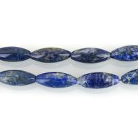 Lapis lazuli Korálky, Přírodní Lapis Lazuli, Olivový, 31x12.50x12.50mm, Otvor:Cca 1.5mm, Cca 13PC/Strand, Prodáno za Cca 16 inch Strand