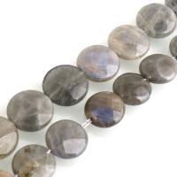 Natural Labradorite Beads Flat Round Approx 0.5mm Sold Per Approx 15 Inch Strand