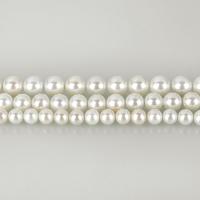 South Sea Shell Beads Round natural white nickel lead & cadmium free Length Approx 15.3 Inch Sold By Lot