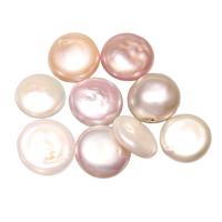 Cultured Freshwater Nucleated Pearl Beads Flat Round natural no hole 11-12mm Sold By PC