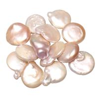 Sötvatten Odlade kämförsedda pärla pärlor, Odlade sötvattens med kärnor Pearl, naturlig, inget hål, fler färger för val, 15-16mm, Säljs av PC