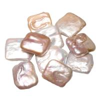Cultured Freshwater Nucleated Pearl Beads Square natural no hole 18-20mm Sold By PC