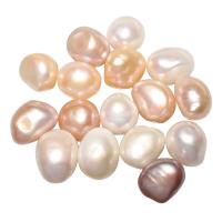 Cultured Freshwater Nucleated Pearl Beads natural no hole 11-12mm Sold By PC