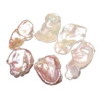 Perlas Cultivadas Nucleadas de Agua Dulce, natural, sin agujero, más colores para la opción, 25-30mm, Vendido por UD