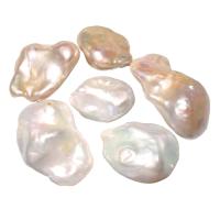 Perlas Cultivadas Nucleadas de Agua Dulce, natural, sin agujero, más colores para la opción, 18-20mm, Vendido por UD