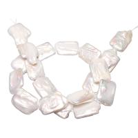 Reborn Cultured Freshwater Pearl Beads, Pérolas de água doce, Retângulo, naturais, branco, 17-19mm, Buraco:Aprox 0.8mm, vendido para Aprox 15 inchaltura Strand