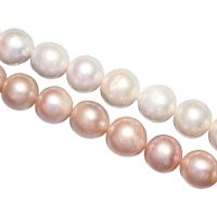 Kulaté kultivované sladkovodní perle, Sladkovodní Pearl, Kolo, přírodní, více barev na výběr, 13-16mm, Otvor:Cca 0.8mm, Prodáno za Cca 15 inch Strand