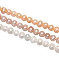 Brambor pěstované sladkovodní perle, Sladkovodní Pearl, přírodní, různé velikosti pro výběr, více barev na výběr, Otvor:Cca 0.8mm, Prodáno za Cca 15 inch Strand