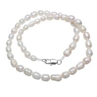 Gėlo vandens perlų Žalvaris grandinės karoliai, su Žalvarinis, Ryžiai, natūralus, moters, baltas, 7-8mm, Parduota už Apytiksliai 15.5 Inch Strand