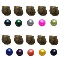 Oyster & Wish Pearl Kit, Perła Akoya hodowlana, Ziemniak, mieszane kolory, 6-7mm, 10komputery/torba, sprzedane przez torba