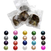 Perle Oyster Perlacee Mare Mare Culturale, perle coltivate Akoya, Patata, colori misti, 7-8mm, 15PC/borsa, Venduto da borsa