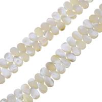 Perles en coquillage blanc naturel, coquille blanche, larme, 6x9x3mm, Trou:Environ 0.5mm, Environ 116PC/brin, Vendu par Environ 14 pouce brin