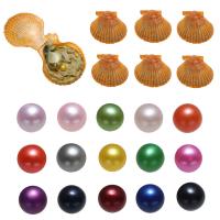 Koraliki Perłowe Pearl Pearl Akoya, Perła Akoya hodowlana, Ziemniak, mieszane kolory, 7-8mm, 15komputery/torba, sprzedane przez torba
