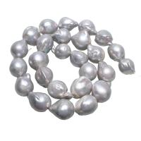 Słodkowodne hodowlane perły - koraliki, Perła słodkowodna hodowlana, srebro, 15x18x11mm-12x13x11mm, otwór:około 0.8mm, sprzedawane na około 15.5 cal Strand