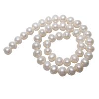 Bulvių išauginti gėlavandenių perlų karoliukai, Gėlo vandens perlų, Bulvė, natūralus, baltas, 10-11mm, Skylė:Apytiksliai 0.8mm, Parduota už Apytiksliai 15.5 Inch Strand