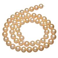 Bulvių išauginti gėlavandenių perlų karoliukai, Gėlo vandens perlų, Bulvė, natūralus, purpurinis, 7-8mm, Skylė:Apytiksliai 0.8mm, Parduota už Apytiksliai 15 Inch Strand
