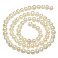 Brambor pěstované sladkovodní perle, Sladkovodní Pearl, přírodní, bílý, Grade AA, 5-6mm, Otvor:Cca 0.8mm, Prodáno za Cca 15 inch Strand