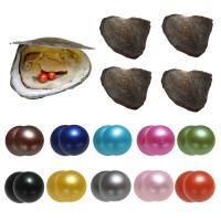 Oyster & Wish Pearl Kit, Perlas cultivadas de agua dulce, Patata, Twins Wish Pearl Oyster, color mixto, 7-8mm, 10PCs/Bolsa, Vendido por Bolsa