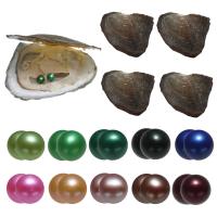 Oyster & Wish Pearl Kit, Perlas cultivadas de agua dulce, Patata, Twins Wish Pearl Oyster, color mixto, 7-8mm, 10PCs/Bolsa, Vendido por Bolsa