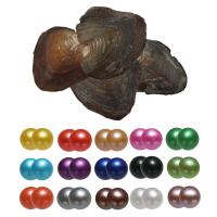 Oyster & Wish Pearl Kit, Perlas cultivadas de agua dulce, Patata, Twins Wish Pearl Oyster, color mixto, 7-8mm, 15PCs/Bolsa, Vendido por Bolsa