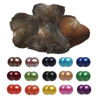 Oyster & Wish Pearl Kit, Perlas cultivadas de agua dulce, Patata, Twins Wish Pearl Oyster, color mixto, 7-8mm, 15PCs/Bolsa, Vendido por Bolsa