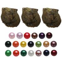 Perle Oyster Perlacee Mare Mare Culturale, perle coltivate Akoya, Patata, colori misti, 7-8mm, 20PC/borsa, Venduto da borsa