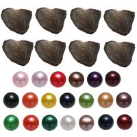 Oyster & Wish Pearl Kit, Perła naturalna słodkowodna, Ziemniak, mieszane kolory, 7-8mm, 20komputery/torba, sprzedane przez torba