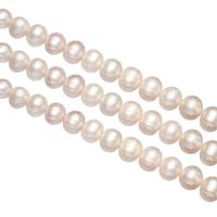 Kulaté kultivované sladkovodní perle, Sladkovodní Pearl, Kolo, přírodní, nachový, Grade, 10-11mm, Otvor:Cca 0.8mm, Prodáno za Cca 15.5 inch Strand