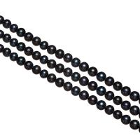 Bulvių išauginti gėlavandenių perlų karoliukai, Gėlo vandens perlų, Bulvė, juodas, 7-8mm, Skylė:Apytiksliai 0.8mm, Parduota už Apytiksliai 15 Inch Strand