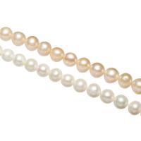 Bulvių išauginti gėlavandenių perlų karoliukai, Gėlo vandens perlų, Bulvė, natūralus, įvairių stilių pasirinkimas, 8-9mm, Pardavė Strand