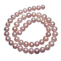 Bulvių išauginti gėlavandenių perlų karoliukai, Gėlo vandens perlų, Bulvė, natūralus, purpurinis, 8-9mm, Skylė:Apytiksliai 0.8mm, Parduota už Apytiksliai 15.3 Inch Strand