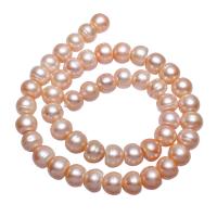 Brambor pěstované sladkovodní perle, Sladkovodní Pearl, přírodní, růžový, 10-11mm, Otvor:Cca 0.8mm, Prodáno za Cca 15.7 inch Strand