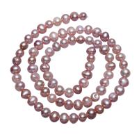 Bulvių išauginti gėlavandenių perlų karoliukai, Gėlo vandens perlų, Bulvė, natūralus, purpurinis, 5-6mm, Skylė:Apytiksliai 0.8mm, Parduota už Apytiksliai 15.5 Inch Strand