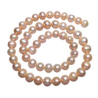 Brambor pěstované sladkovodní perle, Sladkovodní Pearl, přírodní, růžový, 8-9mm, Otvor:Cca 0.8mm, Prodáno za Cca 15 inch Strand