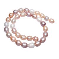 Brambor pěstované sladkovodní perle, Sladkovodní Pearl, přírodní, smíšené barvy, 12-16mm, Otvor:Cca 0.8mm, Prodáno za Cca 16 inch Strand