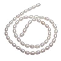 Cultured Rice Freshwater Pearl Beads natural white 5-6mm Approx 0.8mm Sold Per Approx 15 Inch Strand
